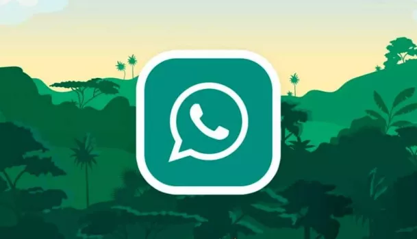 Ini Dia Cara Instal GB WhatsApp Pro Mod Apk yang Anti Kadaluarsa